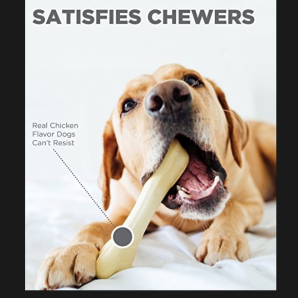 COPY - Petstages Chick-A-Bone Dog Chew Toy~ Original from Manufacturer~Medium - Picture 3 of 4